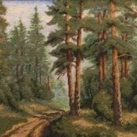Pădurea de molid - kit complet