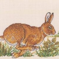 Rabbit - kit