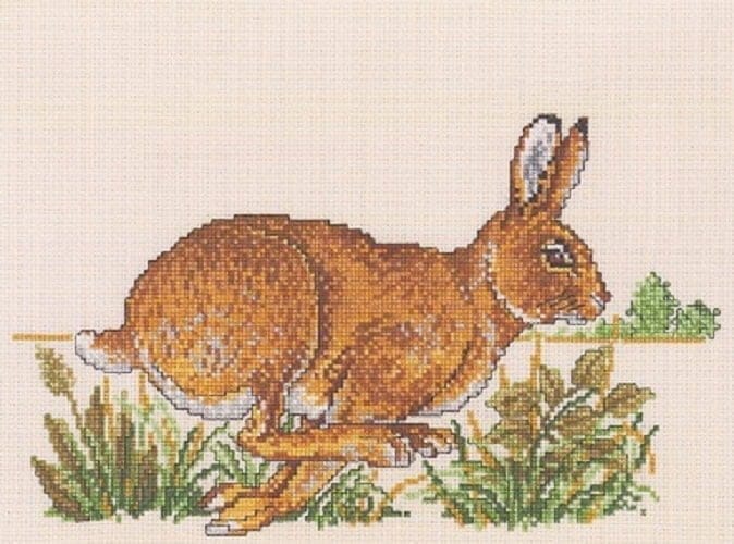 Rabbit - kit