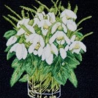 The heralds of spring - kit