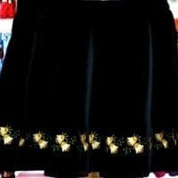 Embroidered velvet skirt