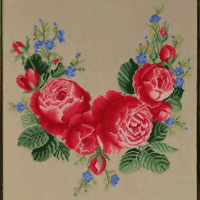 Peonies - kit