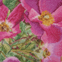 Wild pink roses - kit