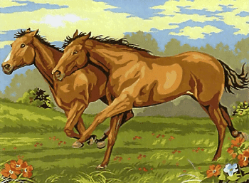 Galloping horses - printed canvas