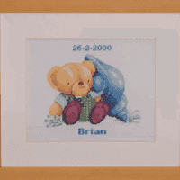 Brian -  cusut și înrămat
