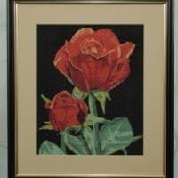 Red roses - sewn and framed