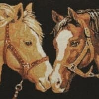 Conversație - kit complet