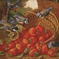 Coș cu căpșuni și păsări - kit complet