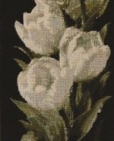 White tulips (right) - kit
