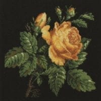 Yellow rose - kit