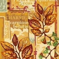 Feerie cu frunze - canevas imprimat