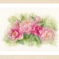 Buchet de bujori - kit complet