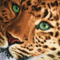 Leopard - kit complet