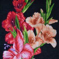 Gladiole/stânga - kit complet