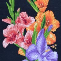 Gladiole/dreapta - kit complet