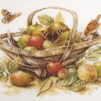 Fructele verii - kit complet