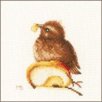 Tânăra mierlă - kit complet